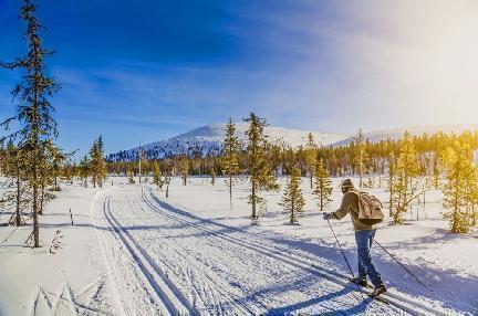 Esquiando por los bosques nevados de Noruega