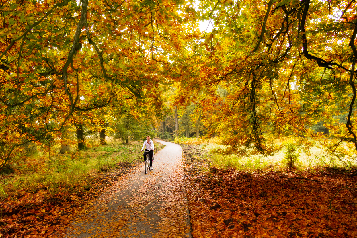 Ciclismo en el Parque Nacional de Hoge Veluwe, Países Bajos (Istockphoto)