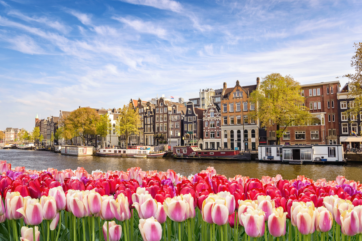 Tulipanes junto a los canales de Ámsterdam, Países Bajos